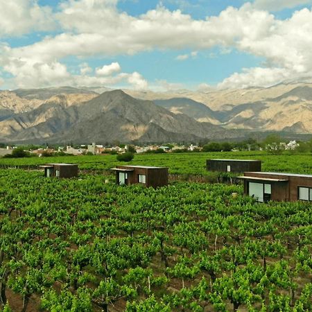 El Porvenir Wine Lodge Cafayate Kültér fotó