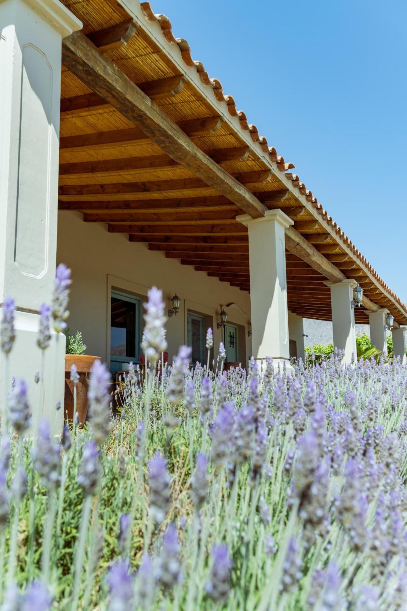 El Porvenir Wine Lodge Cafayate Kültér fotó