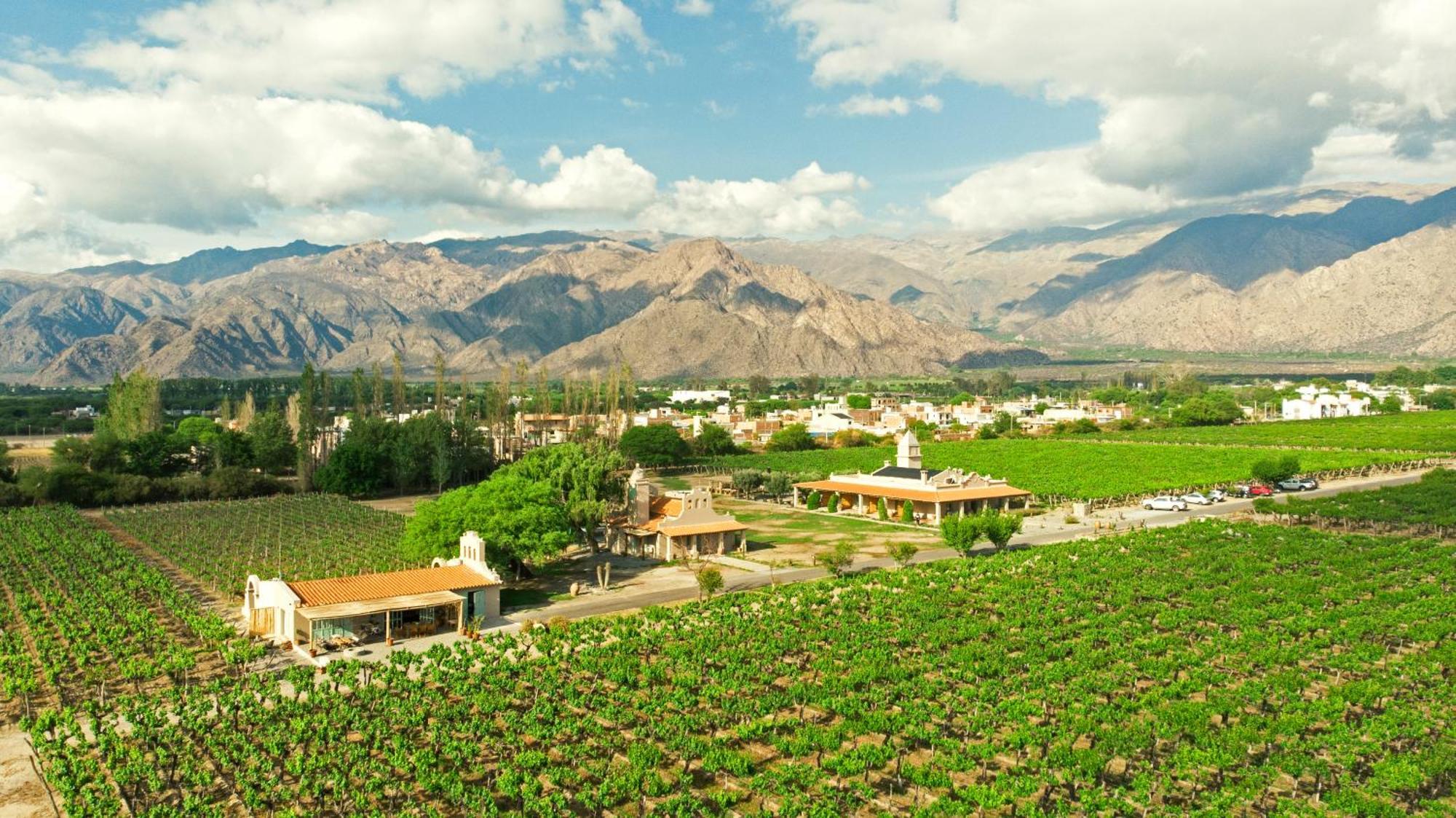 El Porvenir Wine Lodge Cafayate Kültér fotó