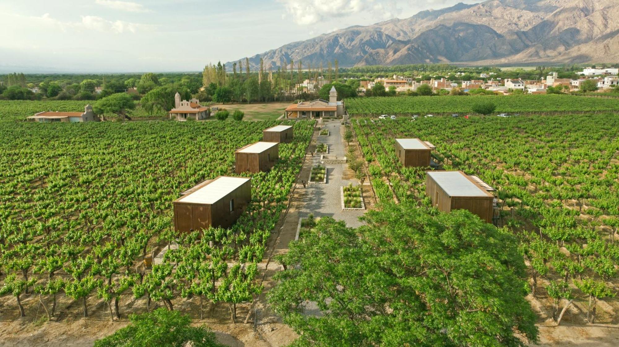 El Porvenir Wine Lodge Cafayate Kültér fotó