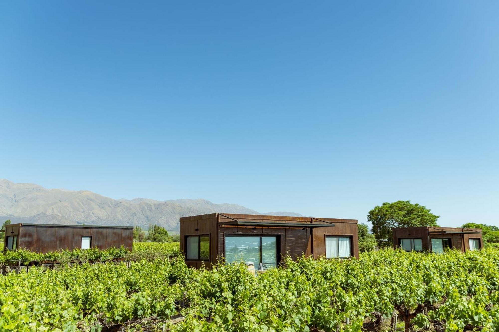 El Porvenir Wine Lodge Cafayate Kültér fotó