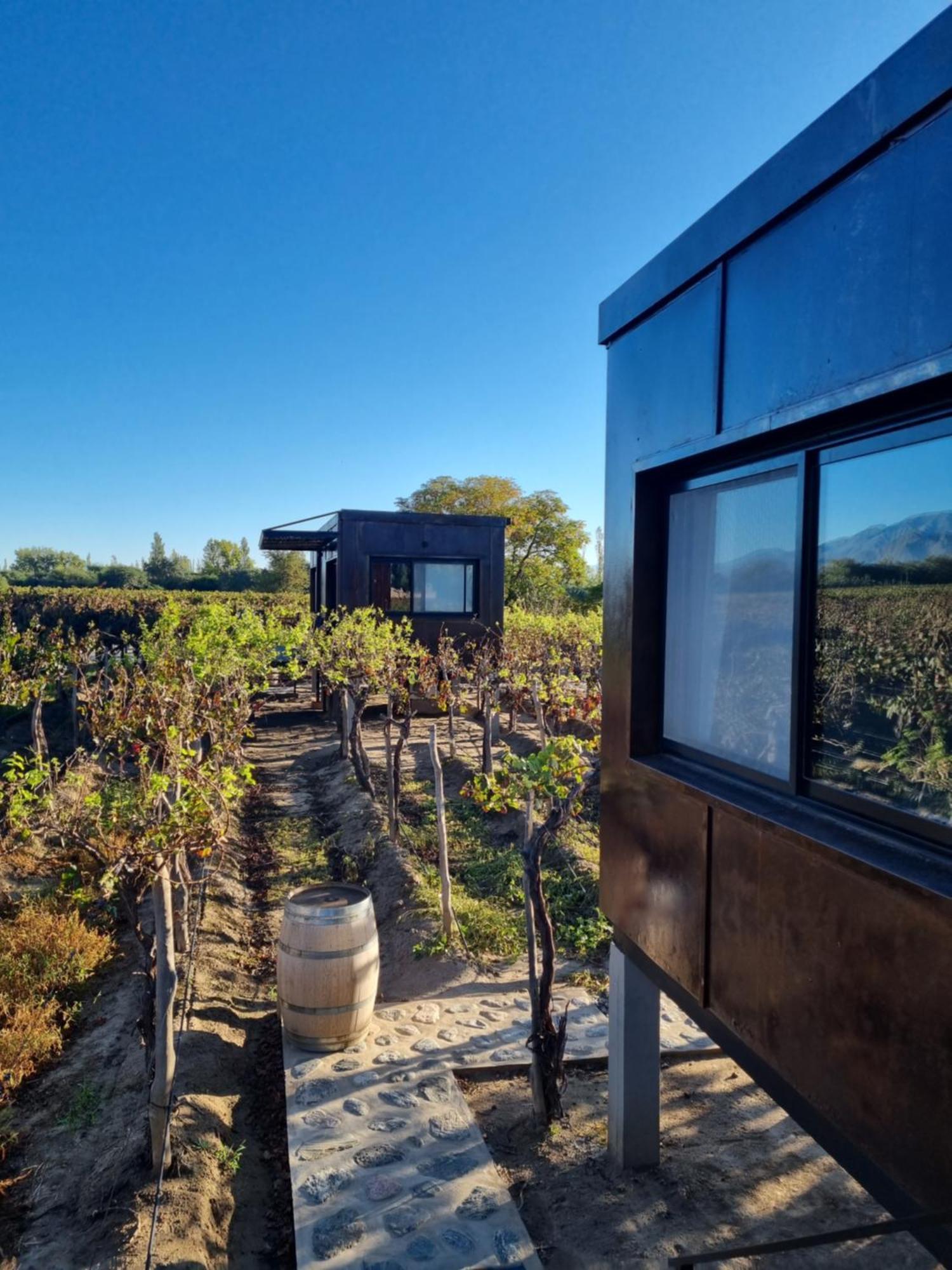 El Porvenir Wine Lodge Cafayate Kültér fotó